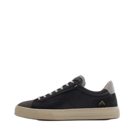 Ambitious 1240310030- Trainer.