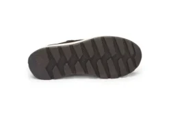 Ara 122511201- Trainer.