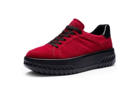 Ara 124670319- Trainer.