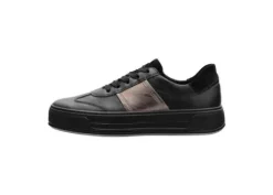 Ara 122301218-Trainer.