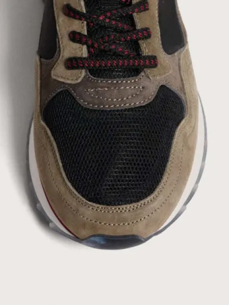 Hoff 22402603- Trainer.