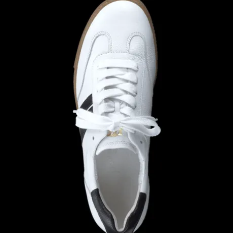 Paul Green 5350086- Trainer.