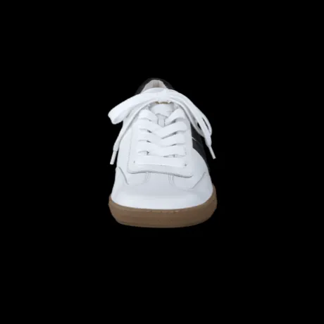 Paul Green 5350086- Trainer.