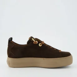 Paul Green 5017448- Trainer.