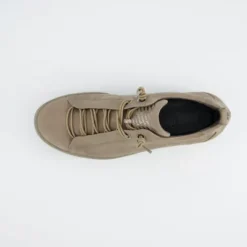Paul Green 5017418-Trainer.