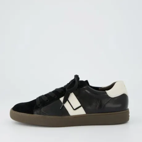 Paul Green 5464208-Trainer.