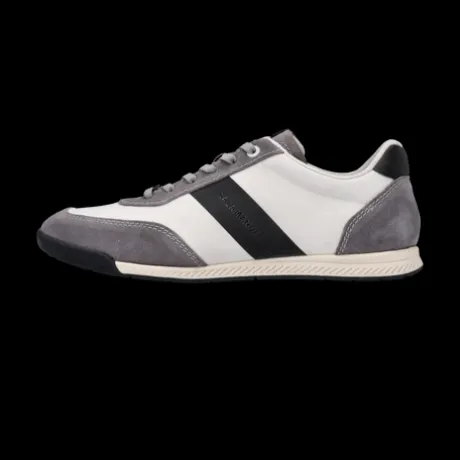 Salamander Light Grey Leather Trainer|E31AWA0312