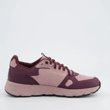 TenHaag 0006038- Trainer.